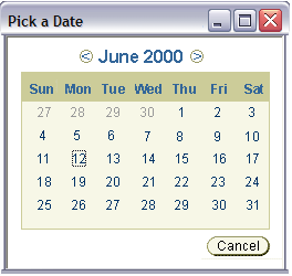 Date Picker in Secondary Window (Read-Only Month/Year)